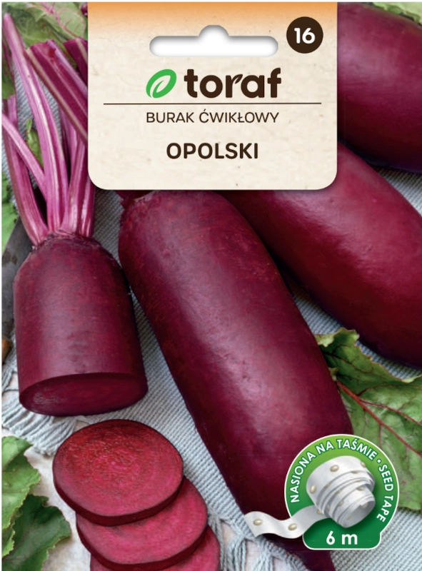 Toraf Burak ćwikłowy Opplski nasiona na taśmie sklep rajogrodnika